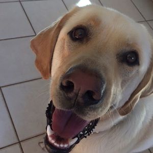 Meet your Posher, Laura